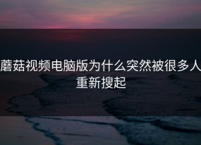 蘑菇视频电脑版为什么突然被很多人重新搜起