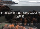 关于蘑菇视频下载，突然火起来不是没原因