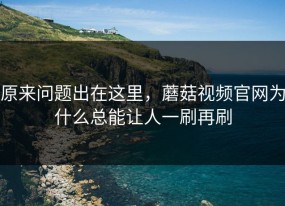 原来问题出在这里，蘑菇视频官网为什么总能让人一刷再刷