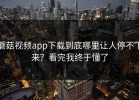 蘑菇视频app下载到底哪里让人停不下来？看完我终于懂了
