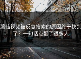 蘑菇视频被反复搜索的原因终于找到了？一句话点醒了很多人