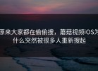 原来大家都在偷偷搜，蘑菇视频iOS为什么突然被很多人重新搜起