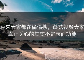 原来大家都在偷偷搜，蘑菇视频大家真正关心的其实不是表面功能