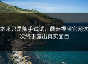 本来只是随手试试，蘑菇视频官网这次终于露出真实面目