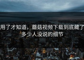 用了才知道，蘑菇视频下载到底藏了多少人没说的细节