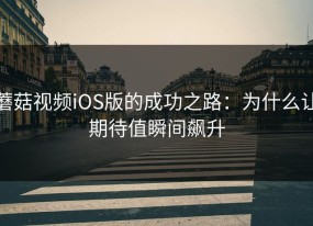 蘑菇视频iOS版的成功之路：为什么让期待值瞬间飙升