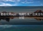 蘑菇视频app：为何引发广泛关注与讨论