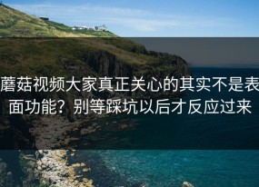 蘑菇视频大家真正关心的其实不是表面功能？别等踩坑以后才反应过来