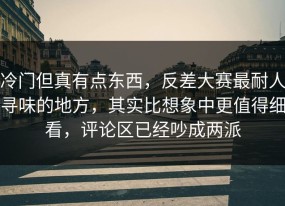 冷门但真有点东西，反差大赛最耐人寻味的地方，其实比想象中更值得细看，评论区已经吵成两派