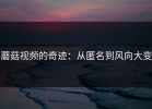 蘑菇视频的奇迹：从匿名到风向大变