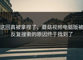 这回真被拿捏了，蘑菇视频电脑版被反复搜索的原因终于找到了