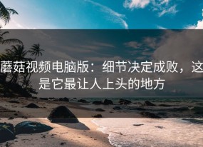 蘑菇视频电脑版：细节决定成败，这是它最让人上头的地方