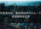 别急着划走，蘑菇短视频为什么一下就把期待值拉满