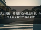 真实揭秘：蘑菇影视的幕后故事，你终于能了解它的真正面貌