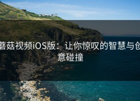 蘑菇视频iOS版：让你惊叹的智慧与创意碰撞