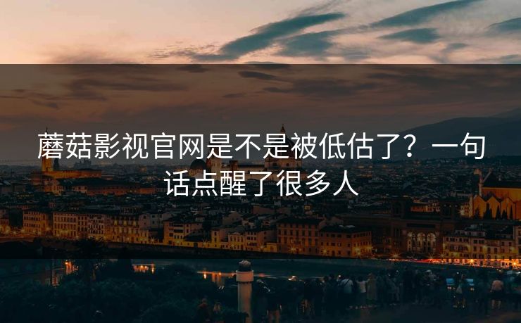 蘑菇影视官网是不是被低估了？一句话点醒了很多人