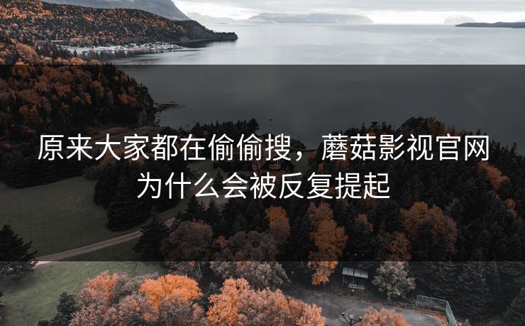 原来大家都在偷偷搜,蘑菇影视官网为什么会被反复提起 原来大家都在偷偷搜,蘑菇影视官网为什么会被反复提起
