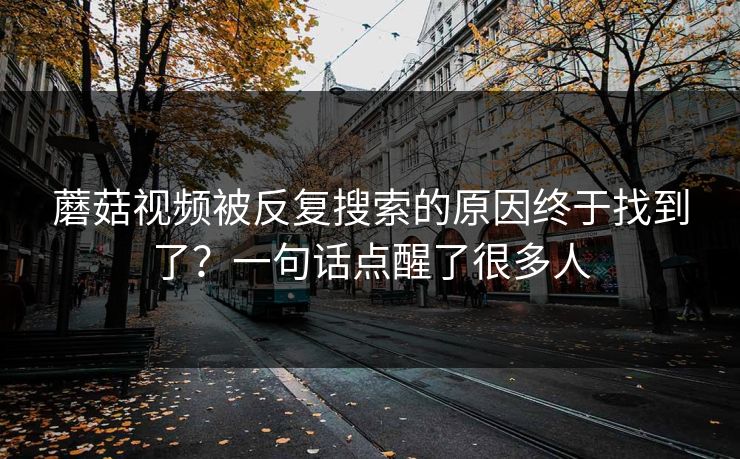 蘑菇视频被反复搜索的原因终于找到了？一句话点醒了很多人