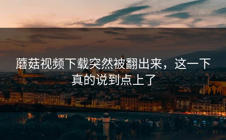 蘑菇视频下载突然被翻出来，这一下真的说到点上了
