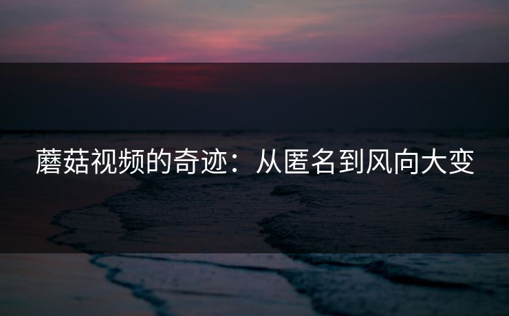 蘑菇视频的奇迹：从匿名到风向大变