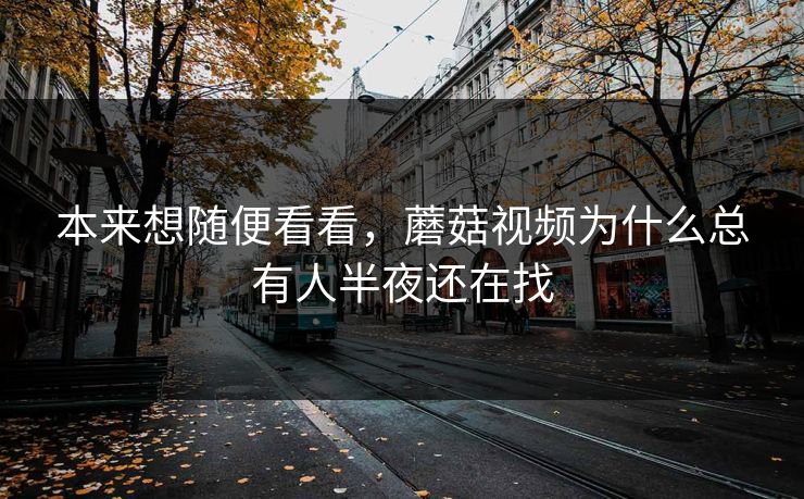 本来想随便看看，蘑菇视频为什么总有人半夜还在找
