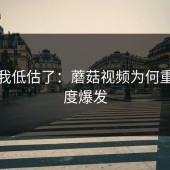 承认我低估了：蘑菇视频为何重新热度爆发