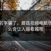 别被名字骗了，蘑菇视频电脑版为什么会让人越看越晚