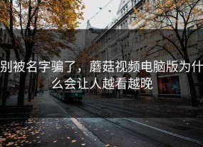 别被名字骗了，蘑菇视频电脑版为什么会让人越看越晚