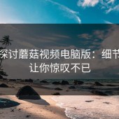 深入探讨蘑菇视频电脑版：细节之美让你惊叹不已