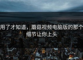 用了才知道，蘑菇视频电脑版的那个细节让你上头