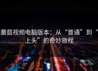 蘑菇视频电脑版本：从“普通”到“上头”的奇妙旅程