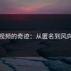 蘑菇视频的奇迹：从匿名到风向大变