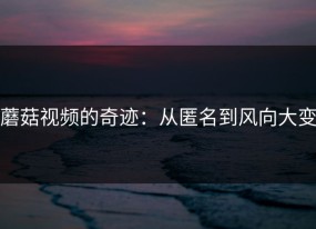 蘑菇视频的奇迹：从匿名到风向大变