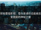 探秘蘑菇影视：看似普通却总能被反复提起的神秘力量