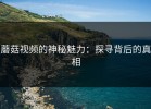 蘑菇视频的神秘魅力：探寻背后的真相