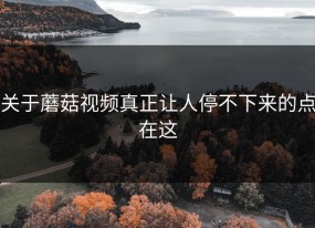 关于蘑菇视频真正让人停不下来的点在这