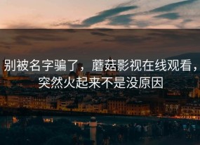 别被名字骗了，蘑菇影视在线观看，突然火起来不是没原因