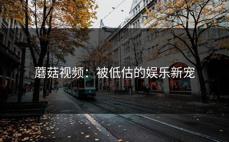 蘑菇视频:被低估的娱乐新宠 蘑菇视频:被低估的娱乐新宠