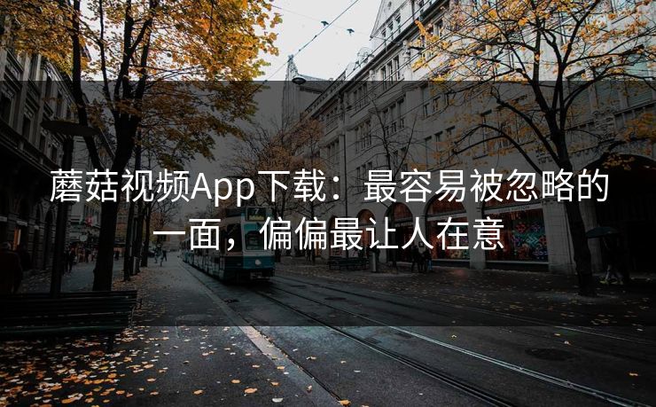 蘑菇视频App下载:最容易被忽略的一面,偏偏最让人在意 蘑菇视频App下载:最容易被忽略的一面,偏偏最让人在意