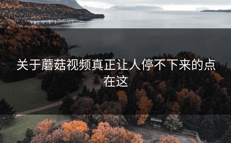关于蘑菇视频真正让人停不下来的点在这