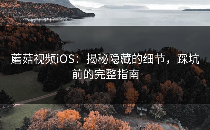 蘑菇视频iOS：揭秘隐藏的细节，踩坑前的完整指南