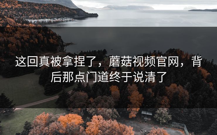 这回真被拿捏了,蘑菇视频官网,背后那点门道终于说清了 这回真被拿捏了,蘑菇视频官网,背后那点门道终于说清了