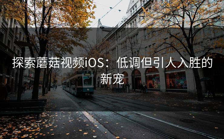 探索蘑菇视频iOS:低调但引人入胜的新宠 探索蘑菇视频iOS:低调但引人入胜的新宠