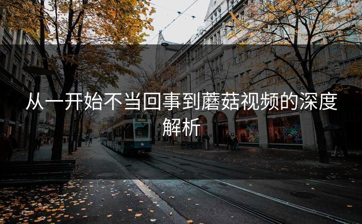 从一开始不当回事到蘑菇视频的深度解析