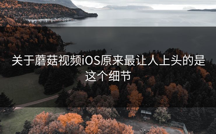 关于蘑菇视频iOS原来最让人上头的是这个细节 关于蘑菇视频iOS原来最让人上头的是这个细节